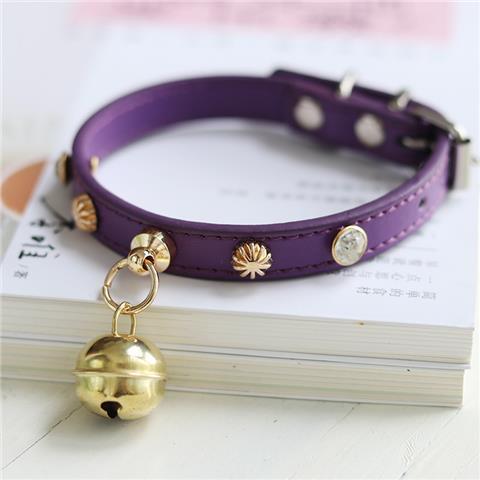 Minimalist Lifestyle Accessory Piece