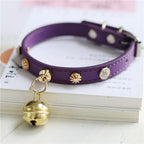 Minimalist Lifestyle Accessory Piece