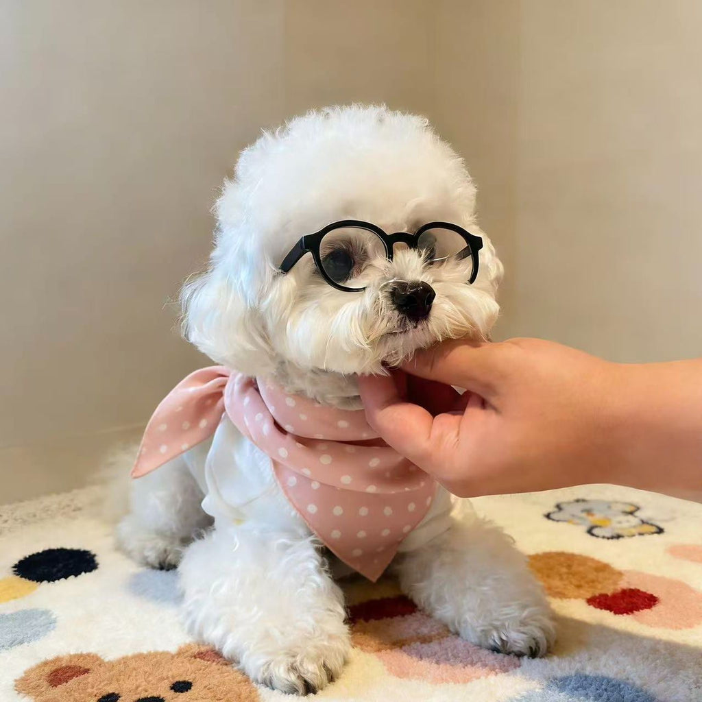 Small Dog Fashion Glasses