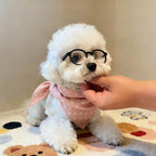 Small Dog Fashion Glasses