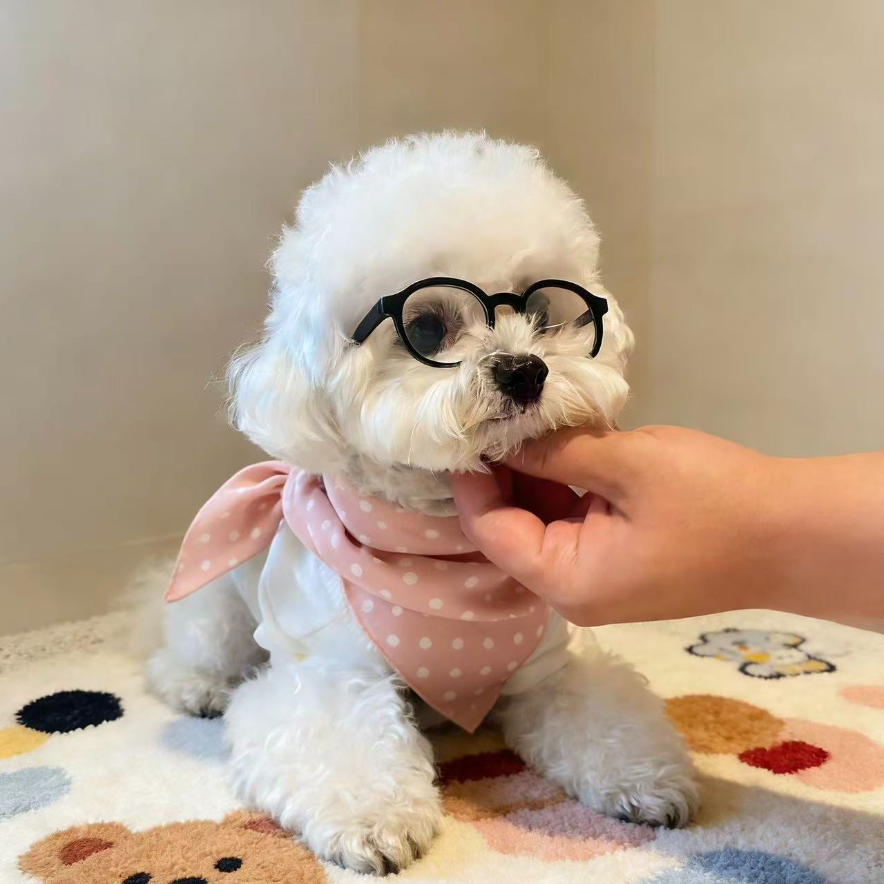 Small Dog Fashion Glasses