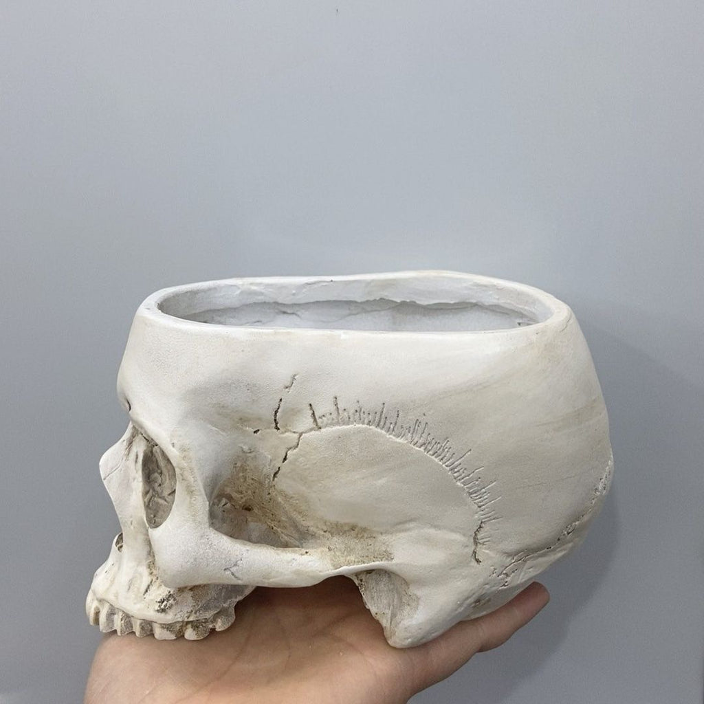 Open Skull Planter