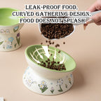 Raised Pet Food and Water Bowl