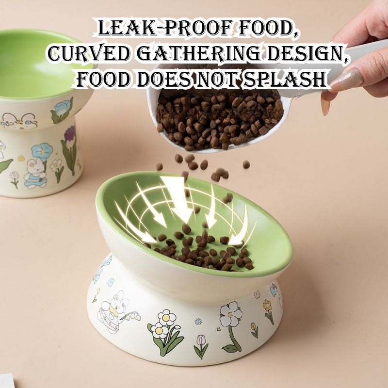 Raised Pet Food and Water Bowl