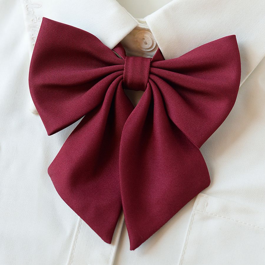 College Style Bow Tie - Modomu
