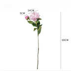 Artificial Peony Stem with Buds - Modomu