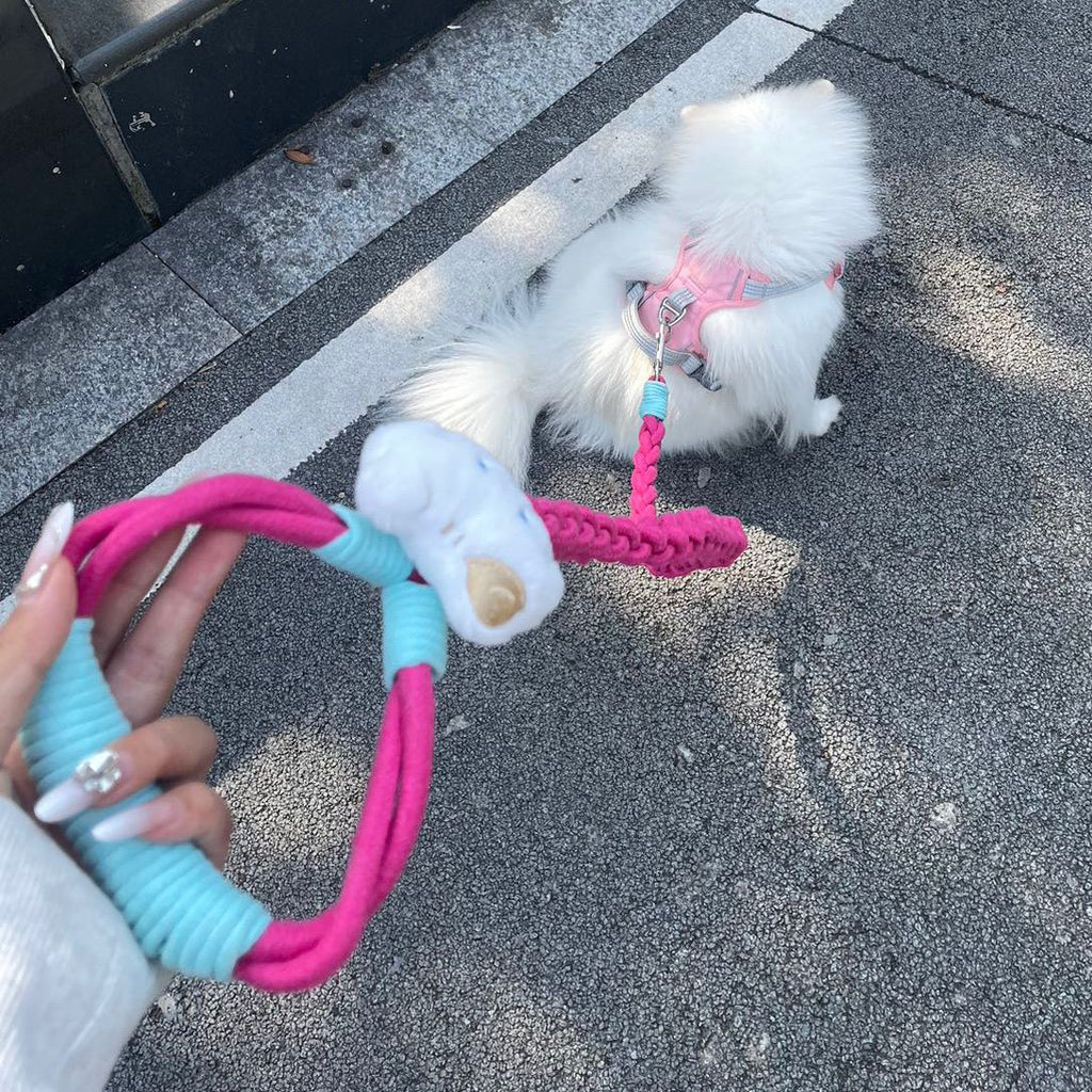 Braided Charm Dog Leash