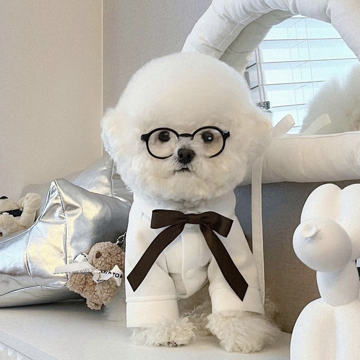 Pet Glasses Fun Photo Accessory