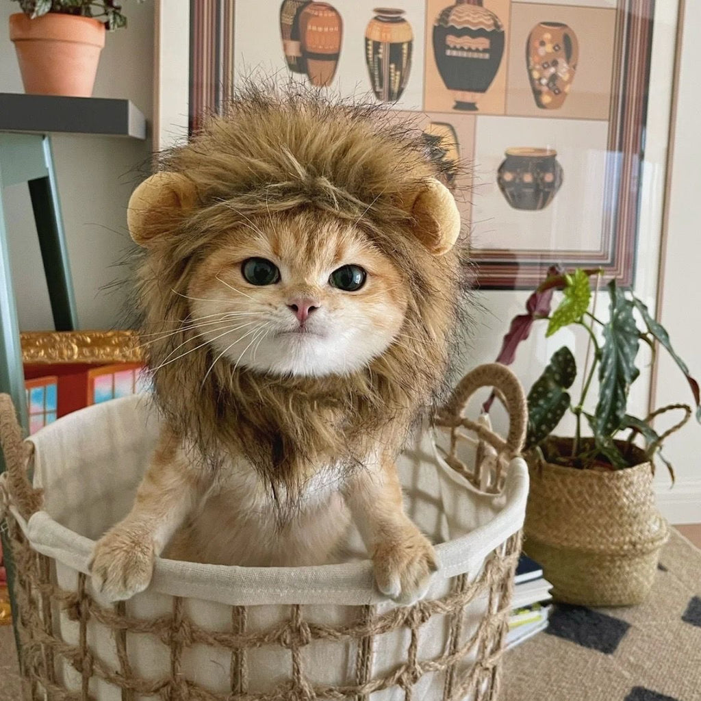 Lion Mane Pet Hat