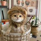 Lion Mane Pet Hat