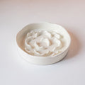 Ceramic Pet Slow Feeder Bowl