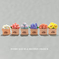 Mini Romantic Flower Desk Ornaments