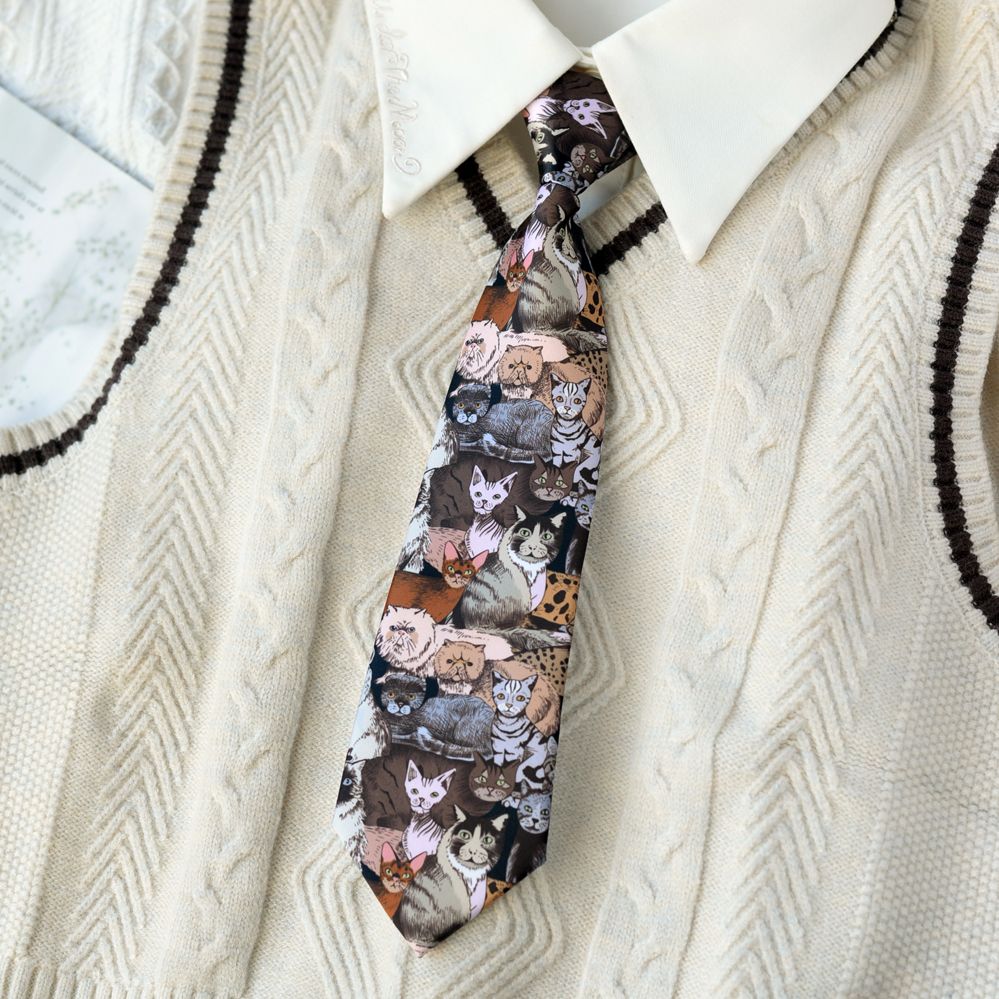 Cartoon Youth Academy Tie - Modomu