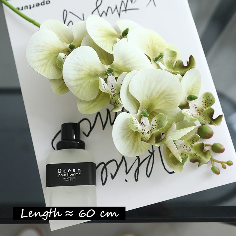 3D Phalaenopsis Faux Floral Arrangement - Modomu