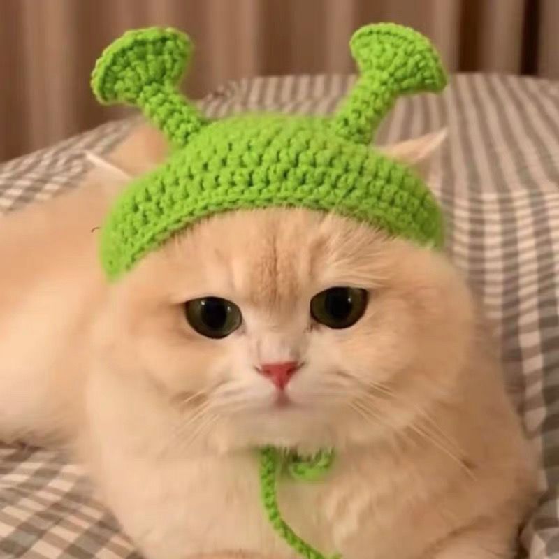 Knit Pet Hat Frog Design