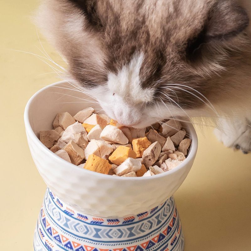 Elevated Ceramic Pet Feeding Bowl