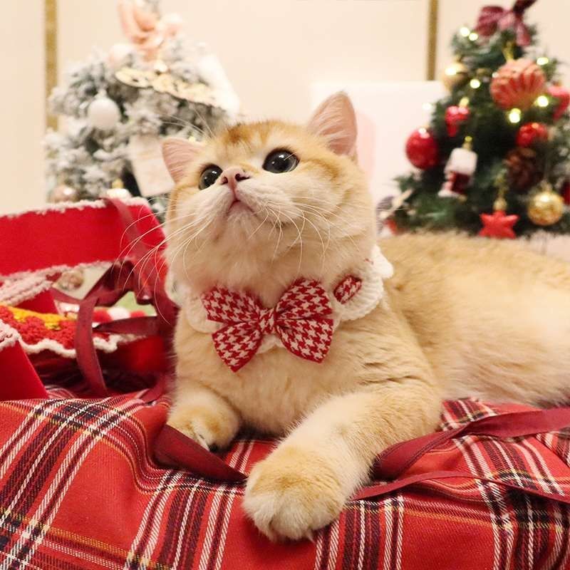 Pet Christmas Bell Scarf Collar