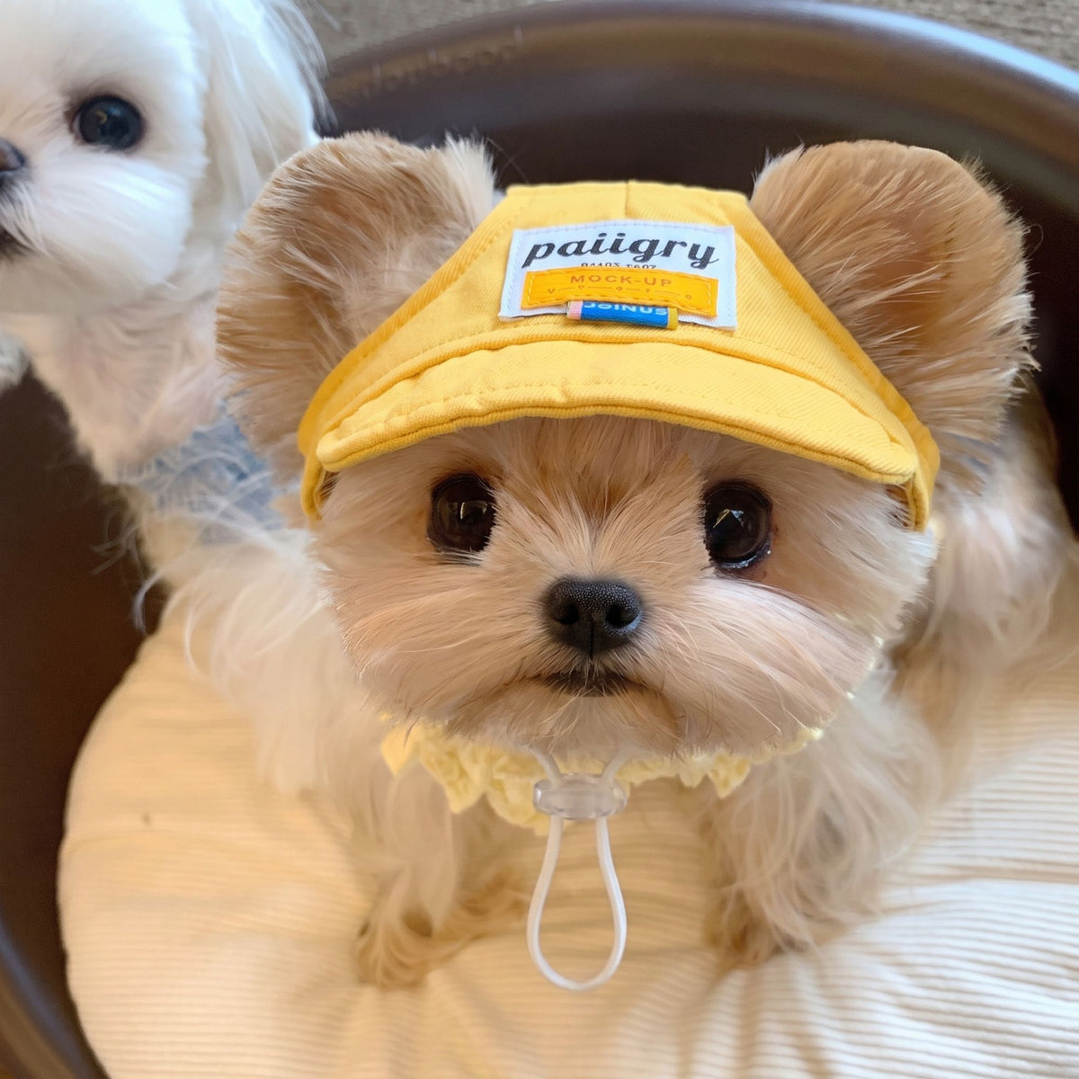 Ear Hole Pet Baseball Cap