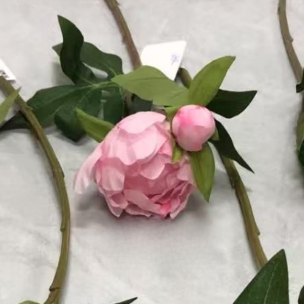 Single Stem Peony Artificial - Modomu
