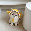 Little Fish Pet Hood