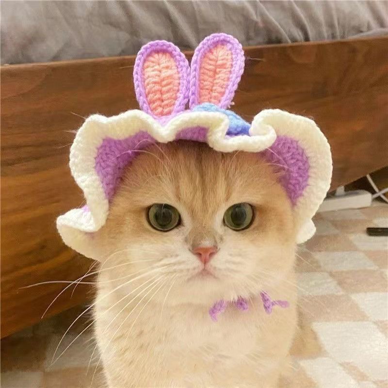 Knit Pet Hat Frog Design