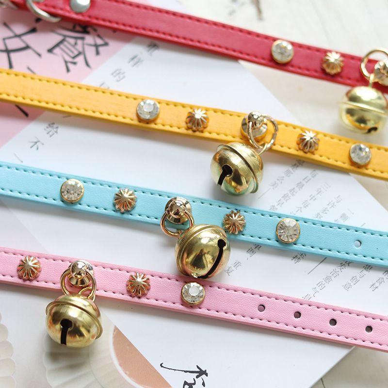 Minimalist Lifestyle Accessory Piece