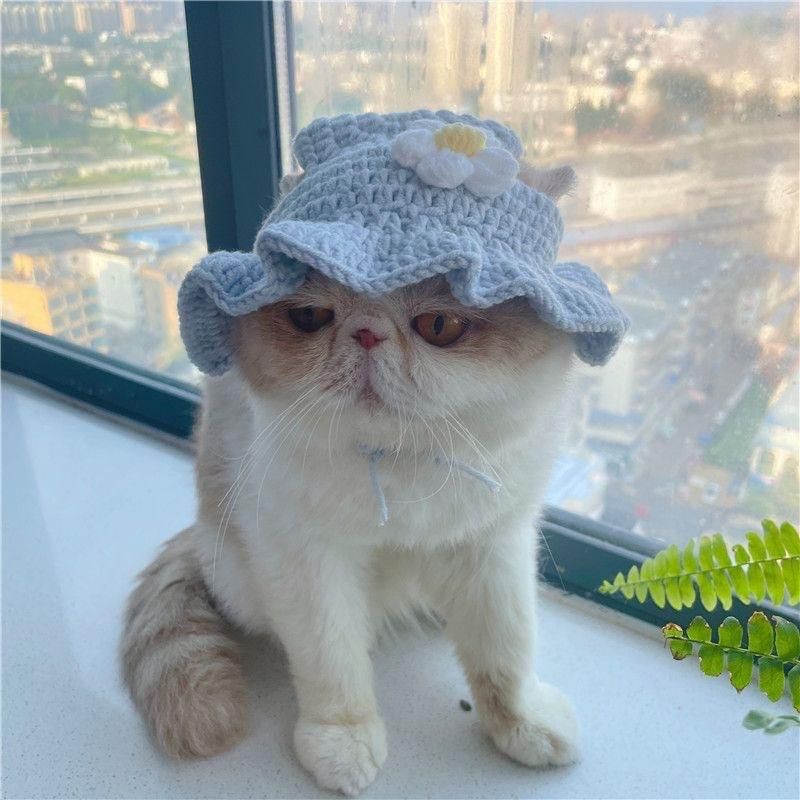 Knit Pet Hat Frog Design