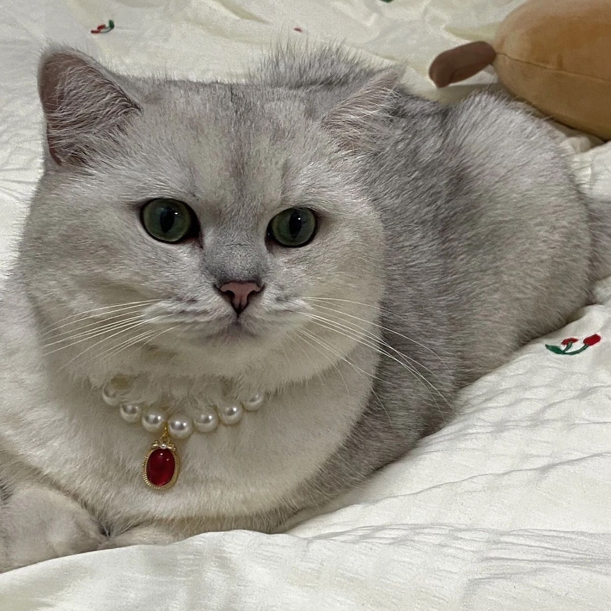 Pet Pearl Gemstone Necklace