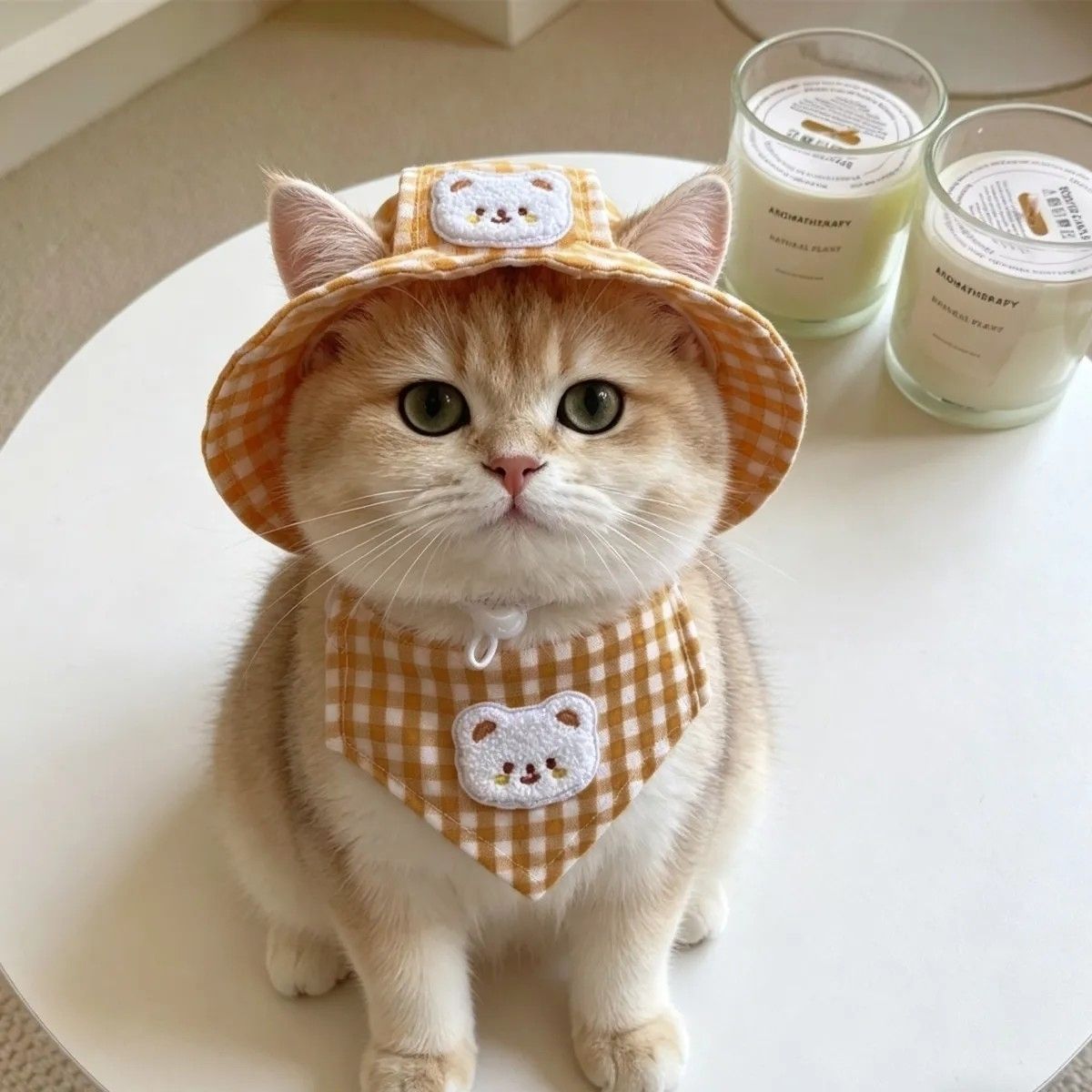 Bear Patch Gingham Pet Hat