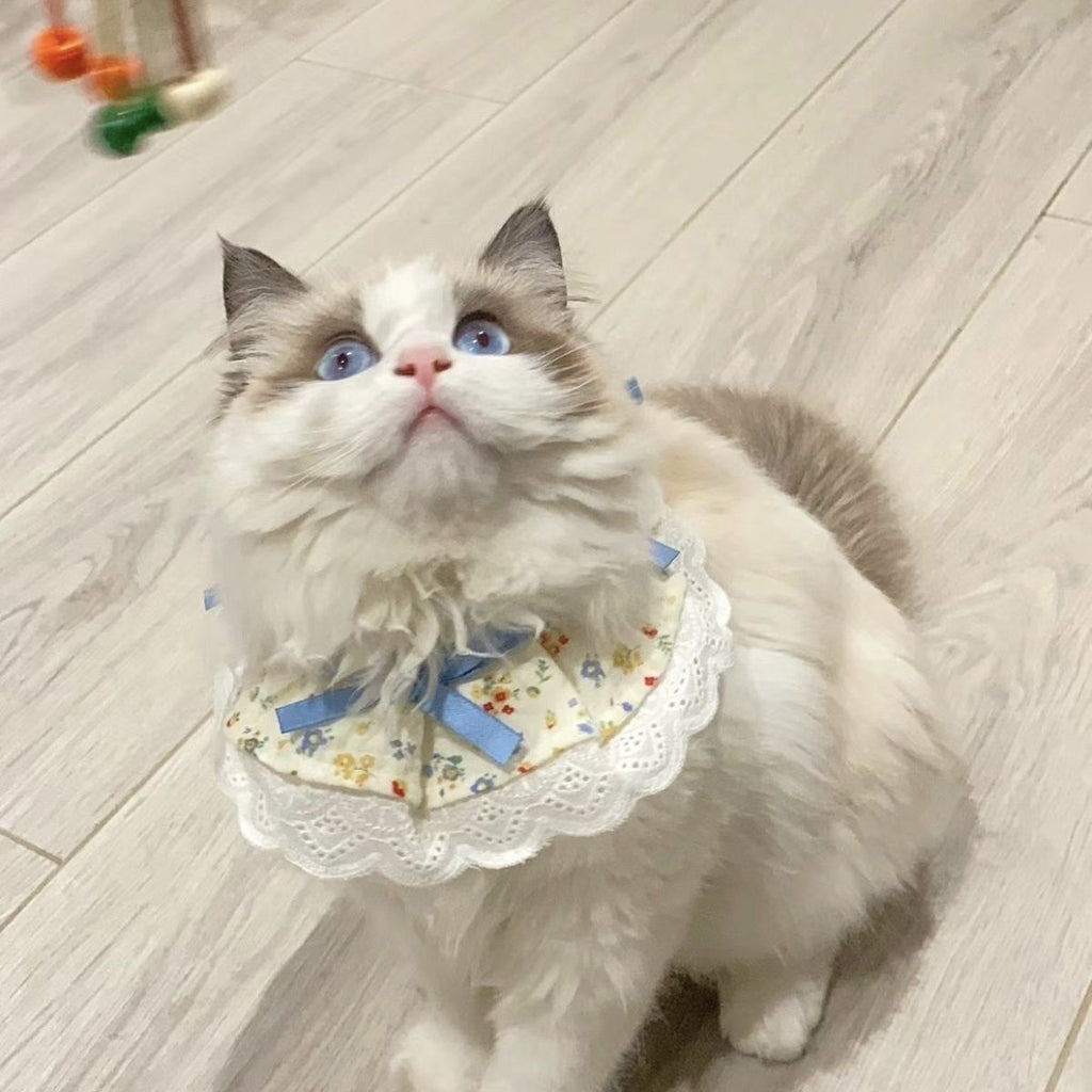 Pet Bib with Floral Bow