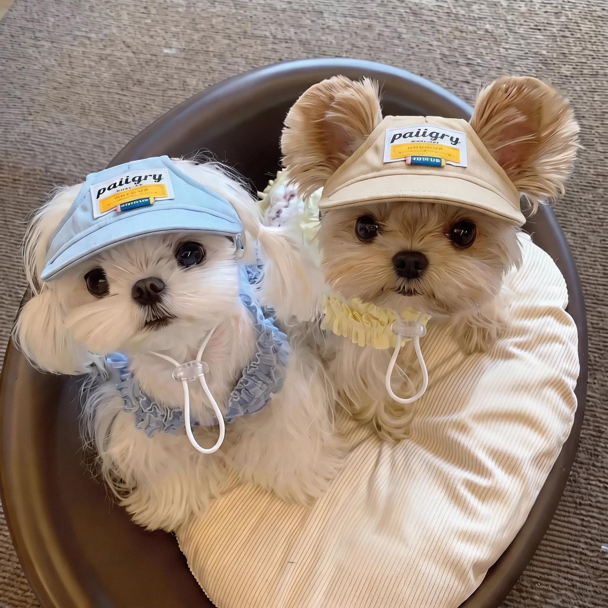 Ear Hole Pet Baseball Cap
