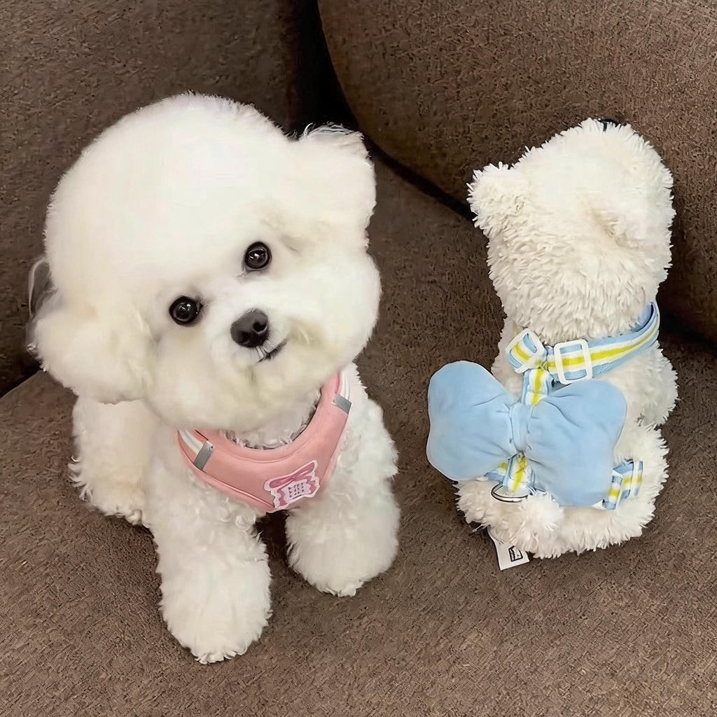 Bow Wing Small Dog Harness
