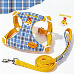 Checked Puppy Harness Lead Set