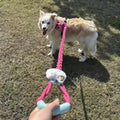Braided Charm Dog Leash