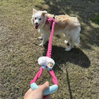 Braided Charm Dog Leash