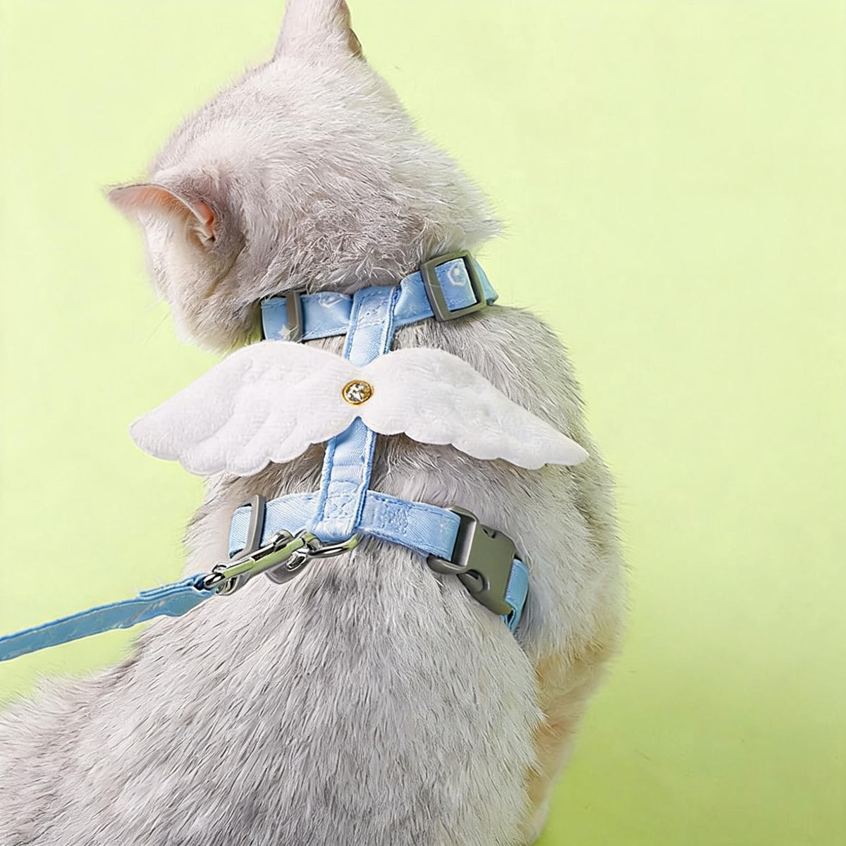 Angel Wing Cat Harness Set