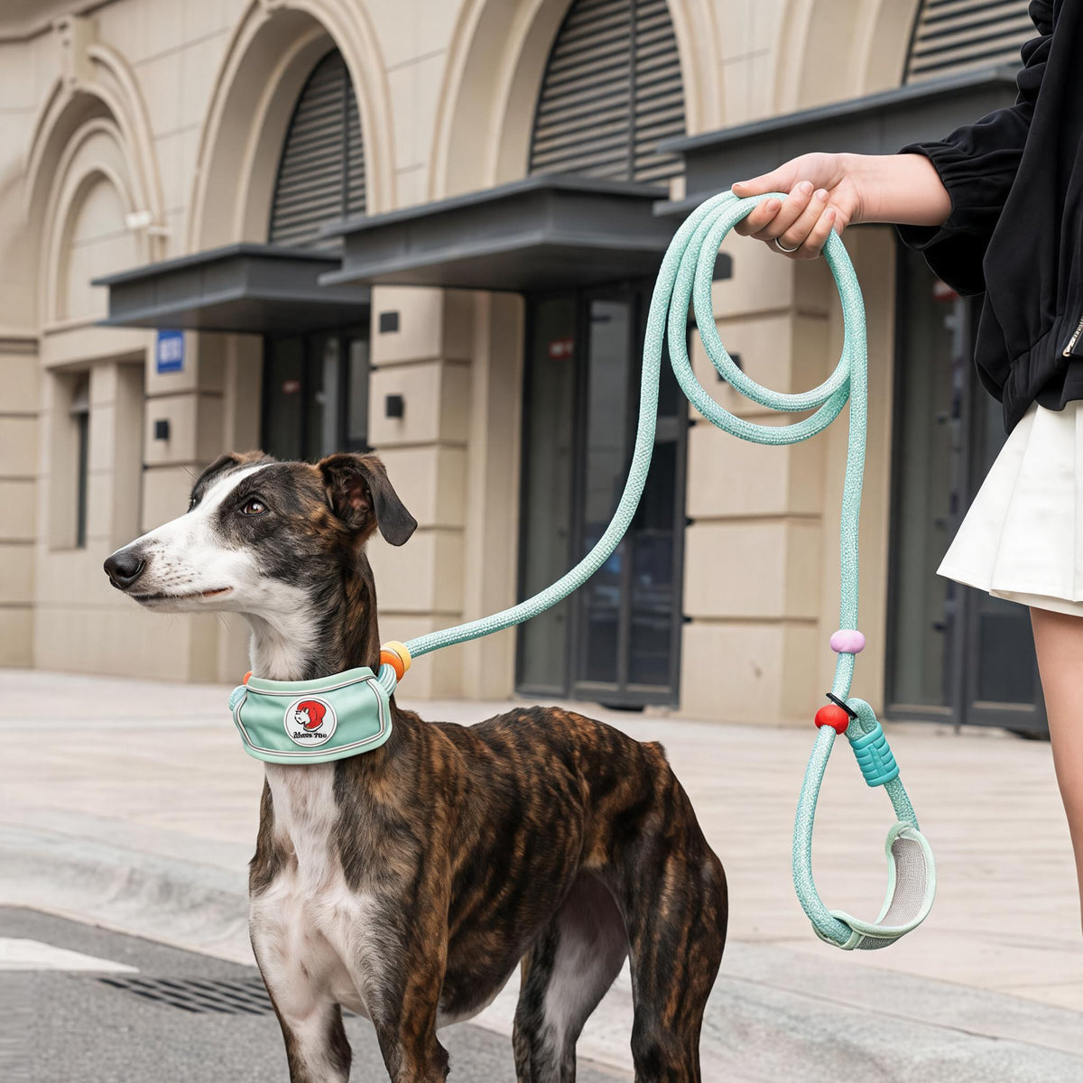 Padded Slip Lead Leash