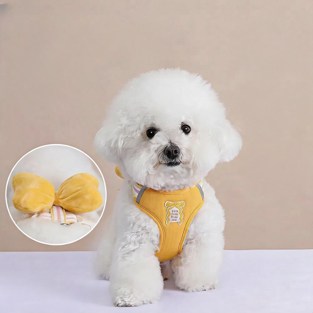 Bow Wing Small Dog Harness