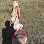 Braided Charm Dog Leash