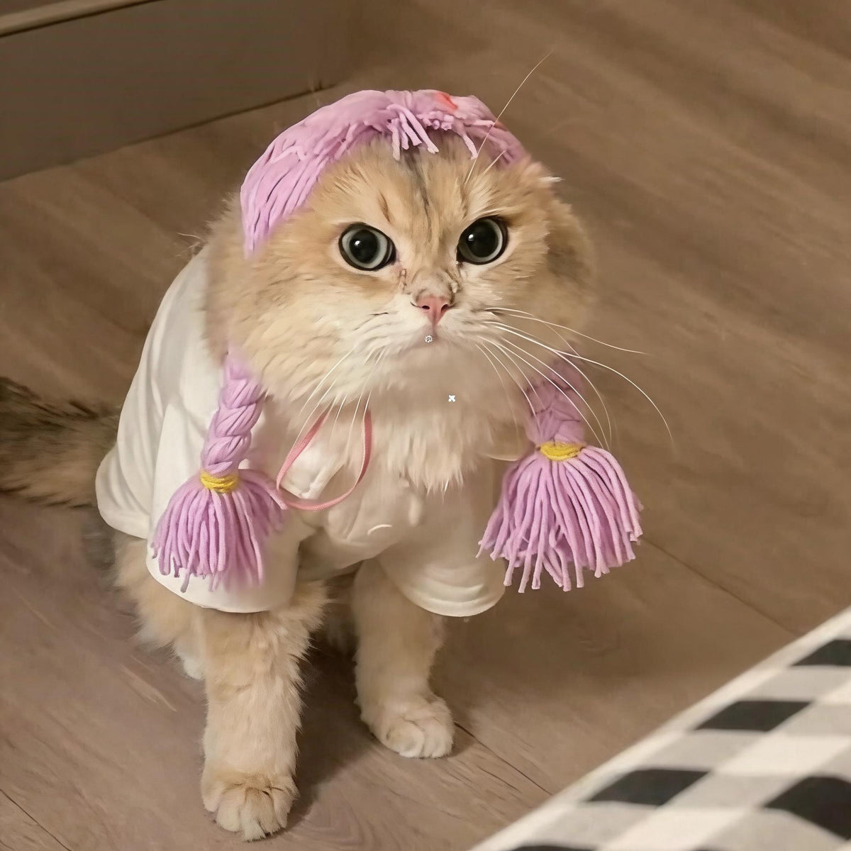 Braided Pigtail Cat Wig
