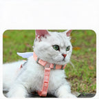 Angel Wing Cat Harness Set