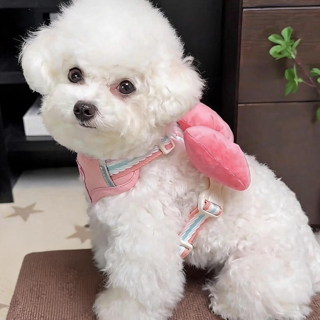 Bow Wing Small Dog Harness