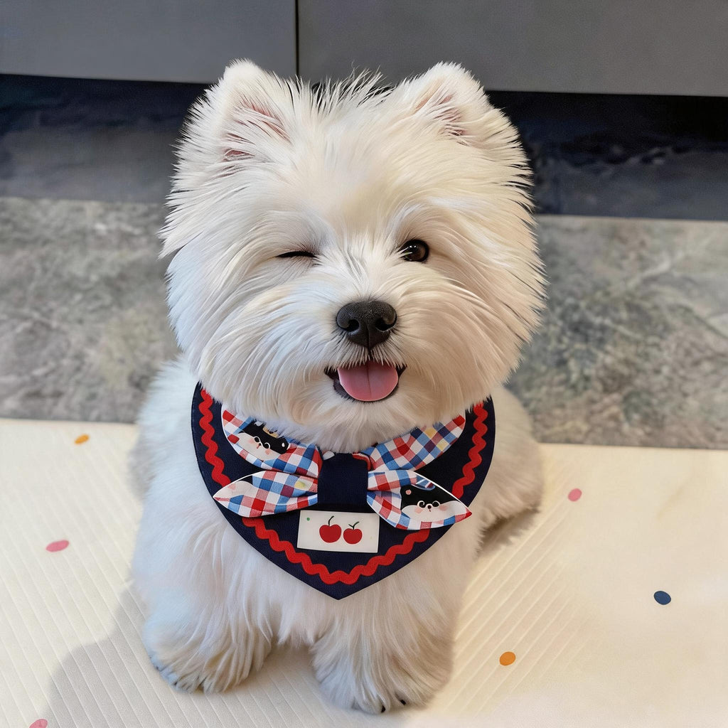 Circus Bow Pet Bandana