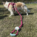 Braided Charm Dog Leash