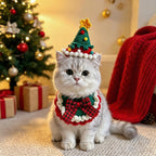 Christmas Tree Pet Hat Set