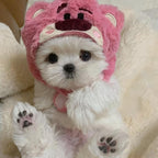 Alien Bear Pet Costume Hat