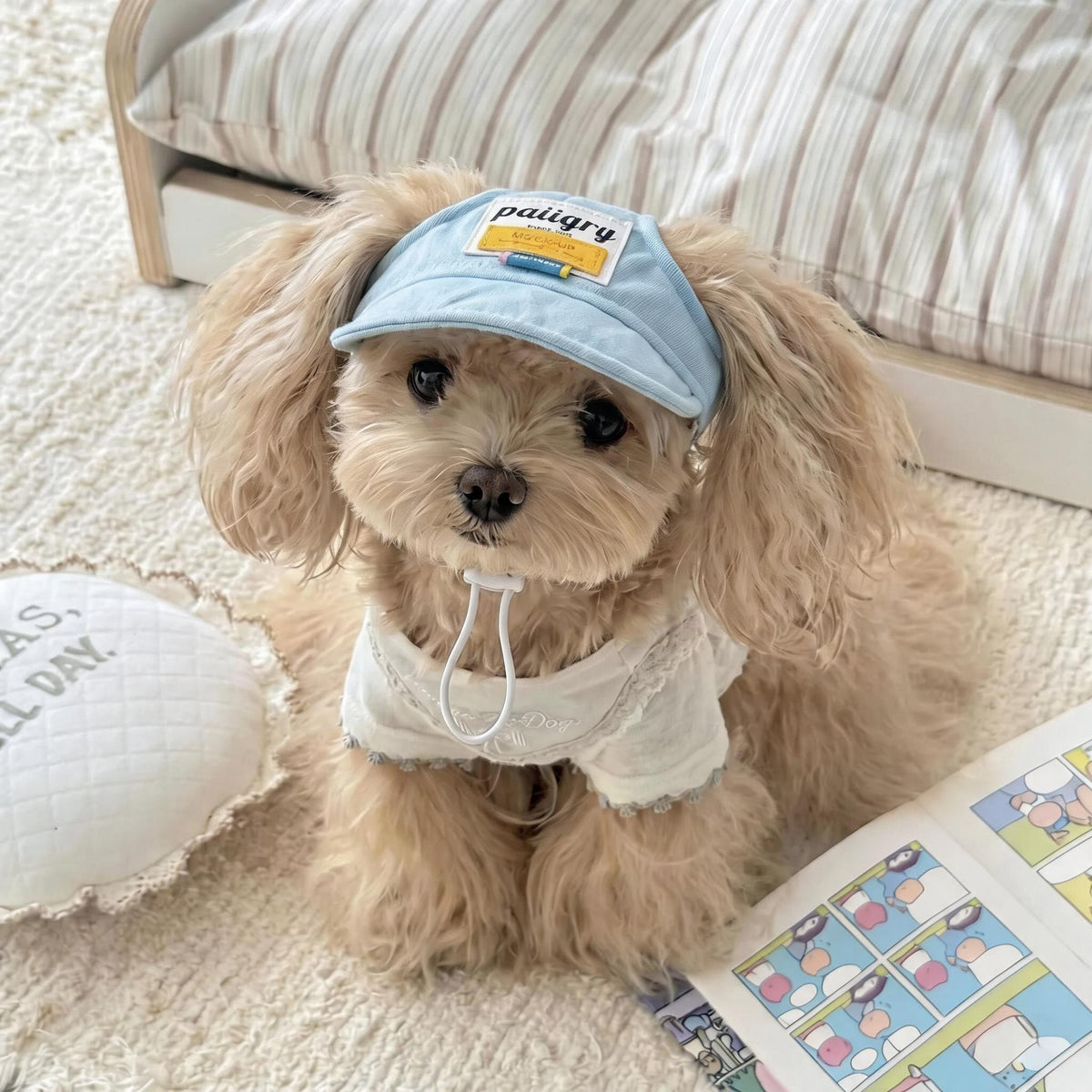 Ear Hole Pet Baseball Cap