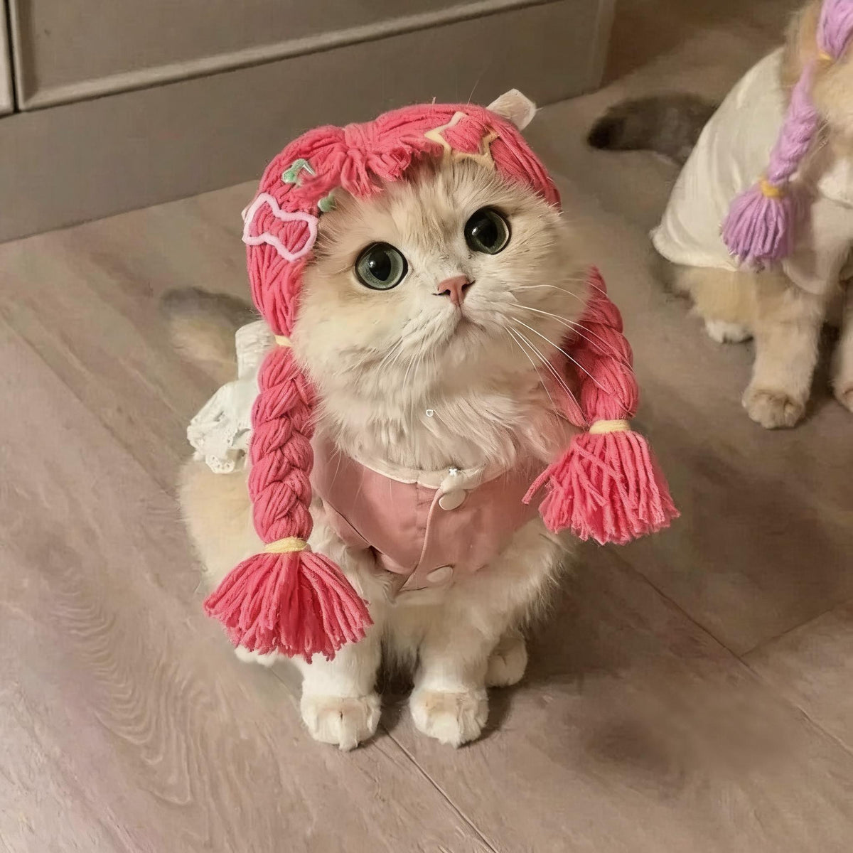 Braided Pigtail Cat Wig