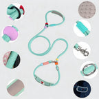Padded Slip Lead Leash