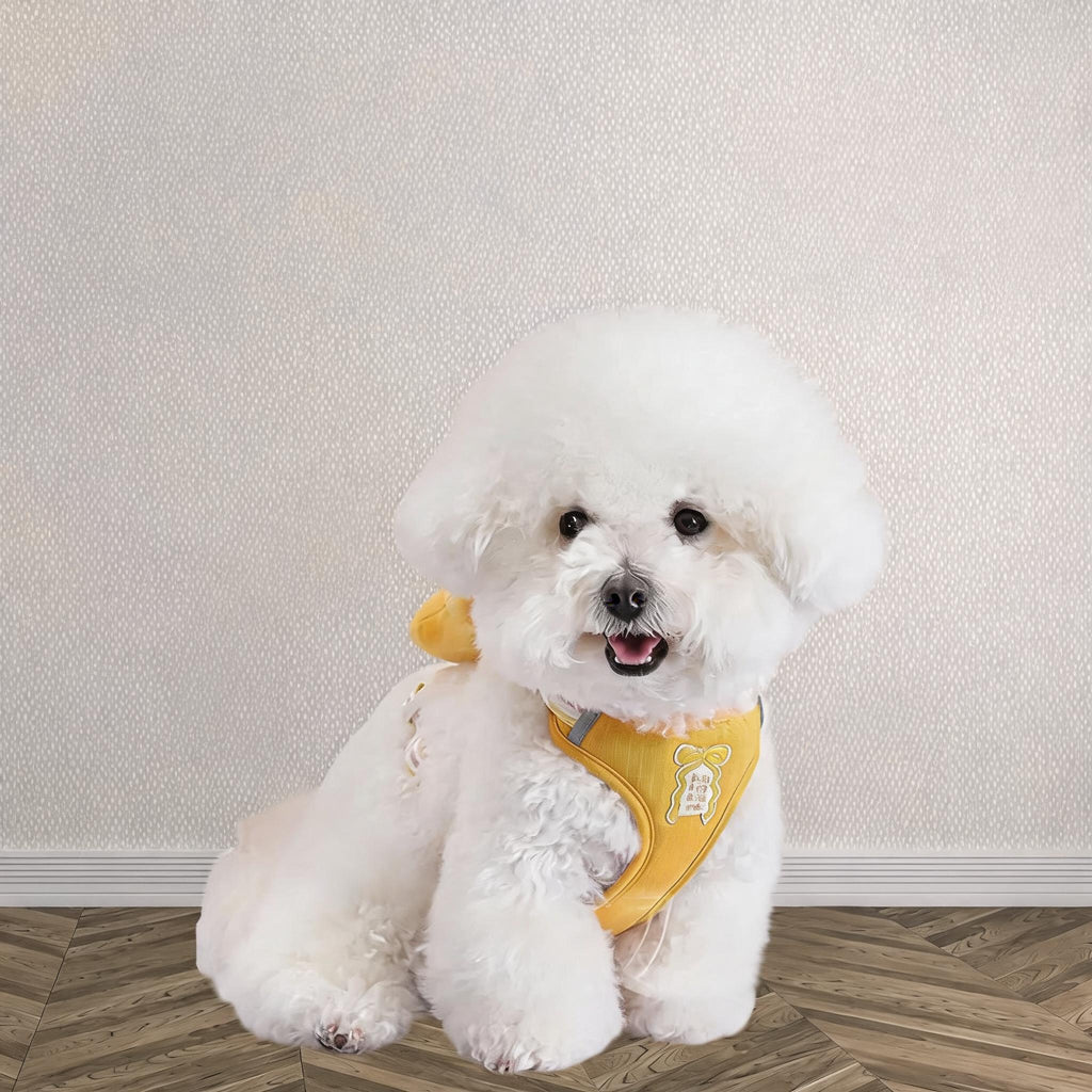 Bow Wing Small Dog Harness